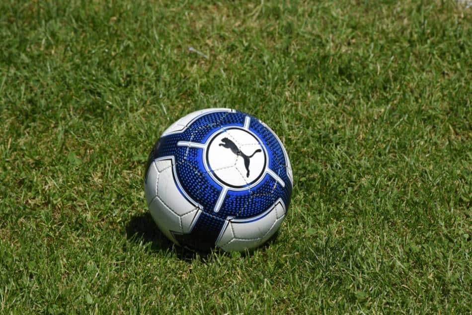 Blue and white soccer ball with a puma on it.