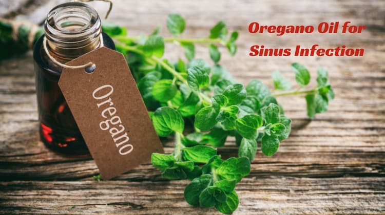 How to treat Sinus Infection using Oregano Oil
