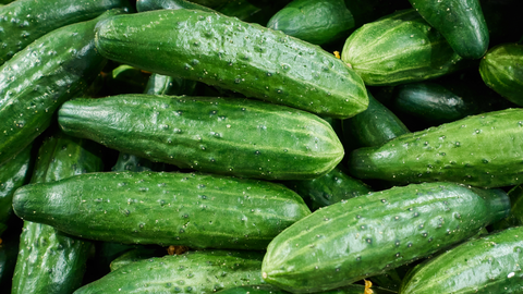 best cucumber for moonshine pickles