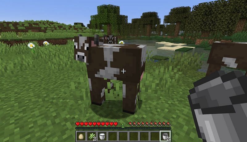 find a cow in your world