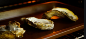 How to cook oysters in a pan