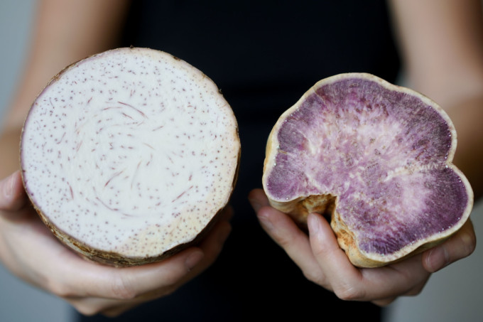 Compare cross section of taro and sweet potato