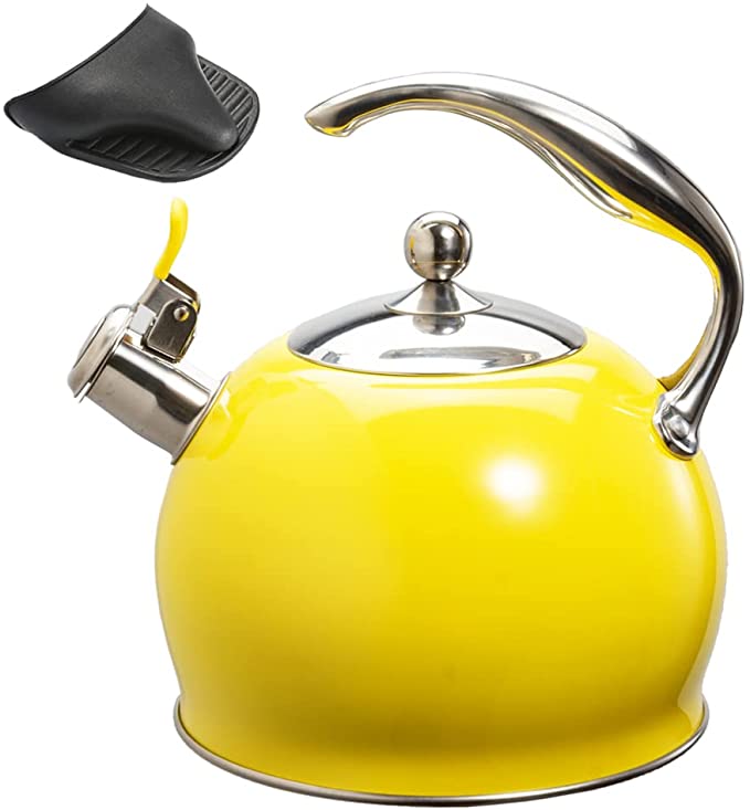 15 Best Stainless Steel Tea Kettles (2021 Reviews & Tips)