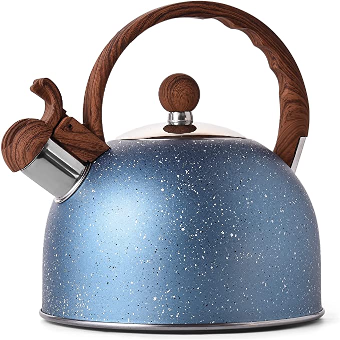 15 Best Stainless Steel Tea Kettles (2021 Reviews & Tips)