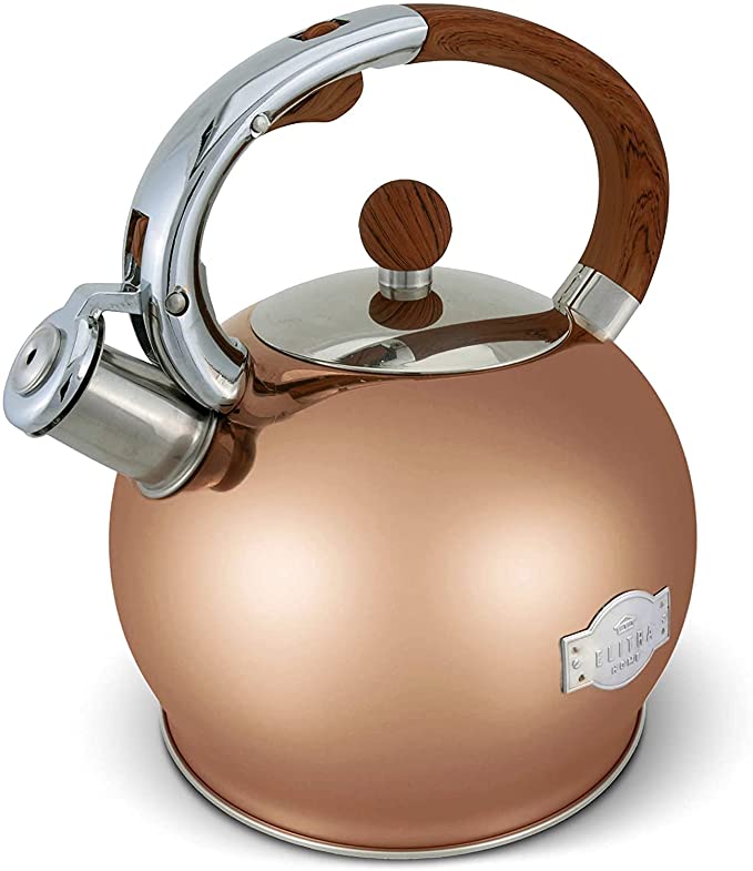 15 Best Stainless Steel Tea Kettles (2021 Reviews & Tips)