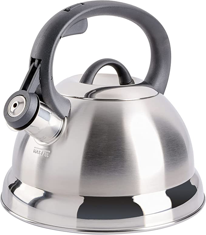 15 Best Stainless Steel Tea Kettles (2021 Reviews & Tips)