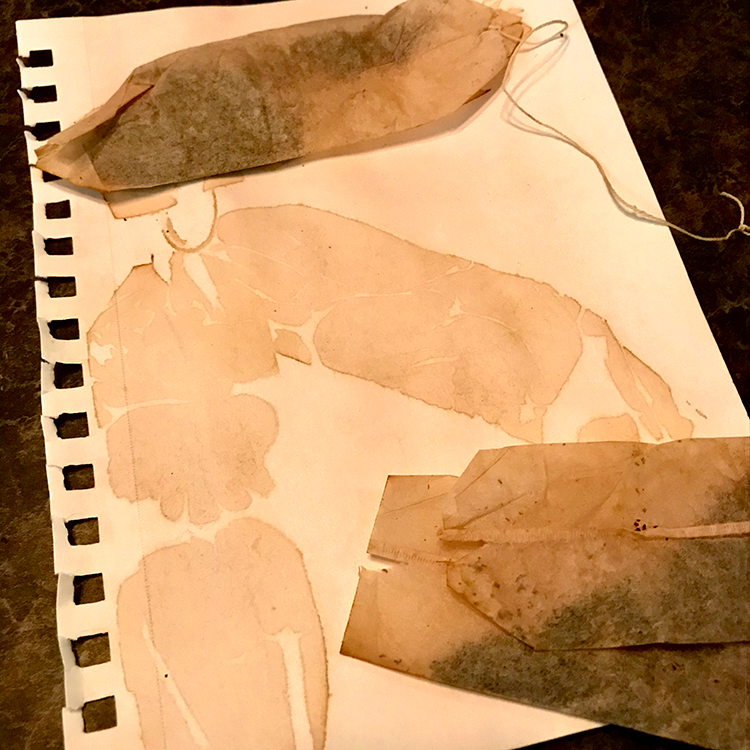 Tea bags are allowed to dry on paper