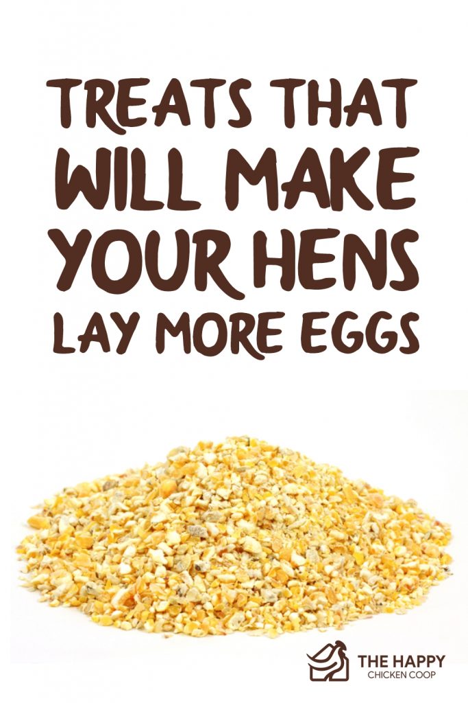 The treatment will make the hens lay more eggs