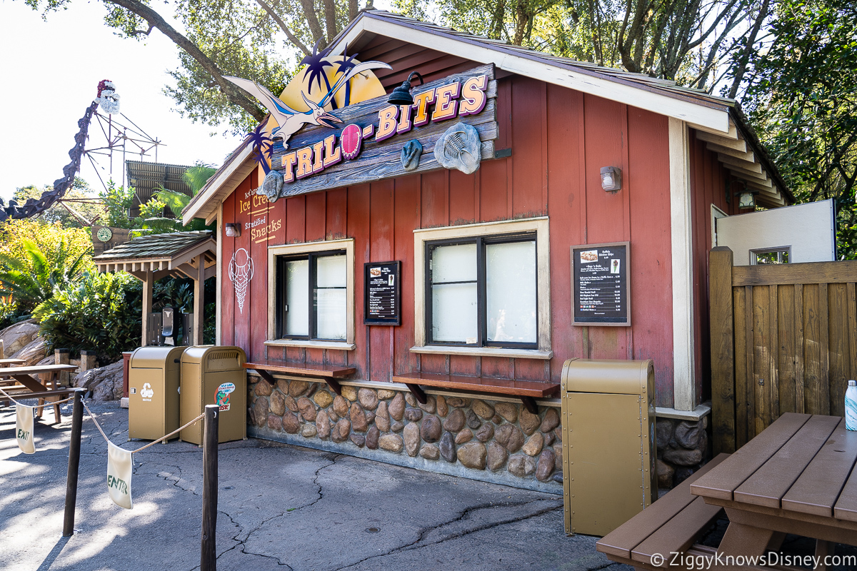 Tiffins Restaurant Animal Kingdom