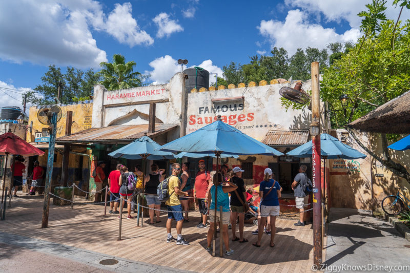 Best Animal Kingdom Dinner