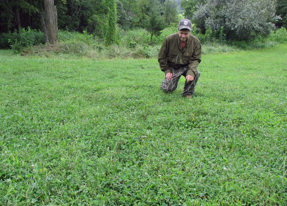 food plot