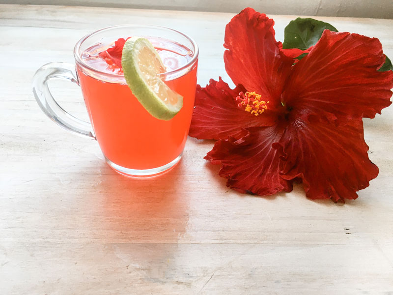 Hibiscus tea fresh petals