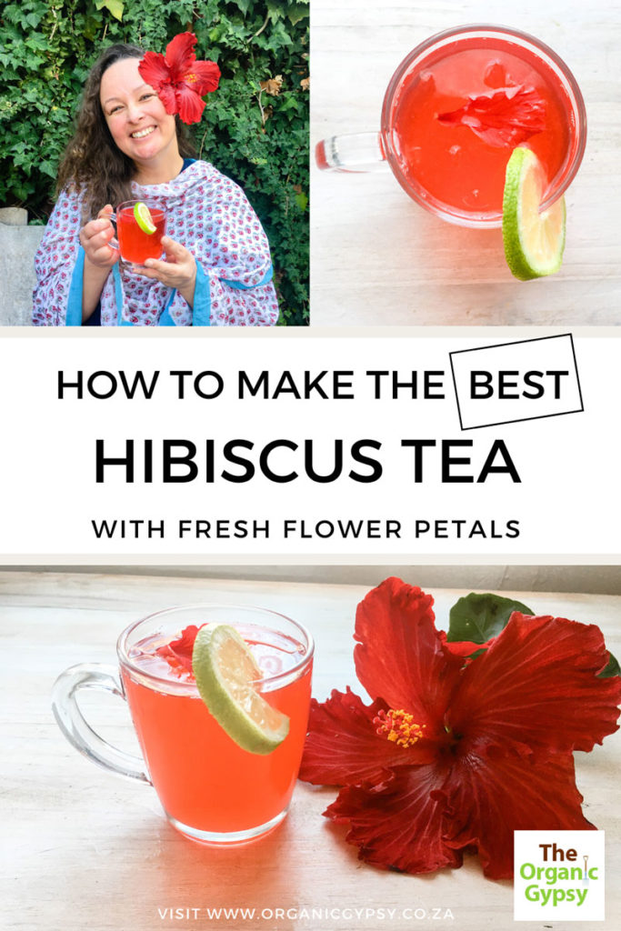 How to make the best hibiscus tea