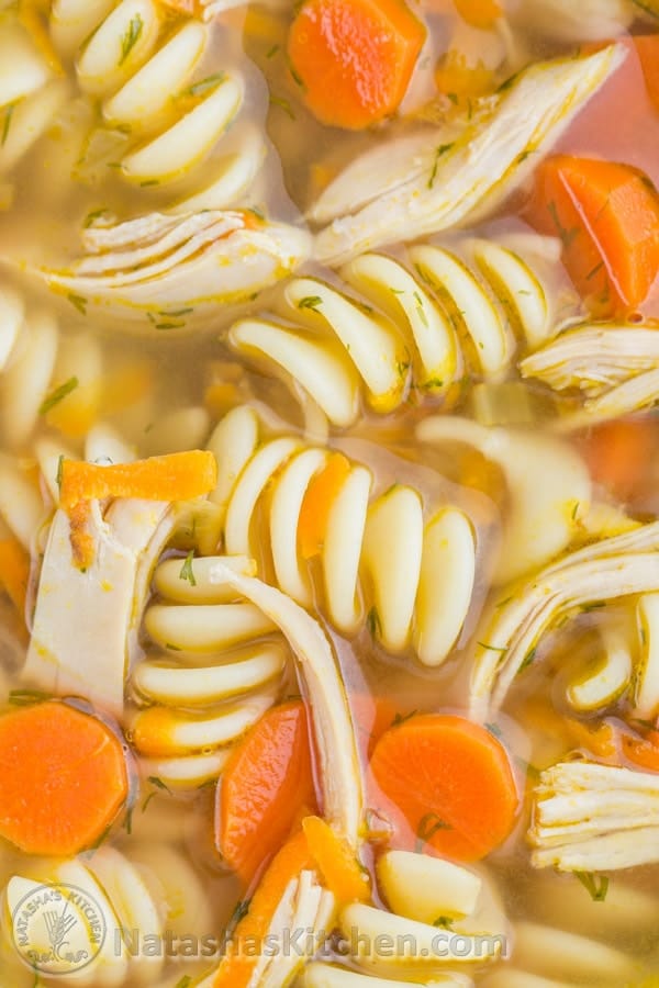 A close-up of plump noodles, flavorful carrots, and moist shredded chicken in Chicken Noodle Soup