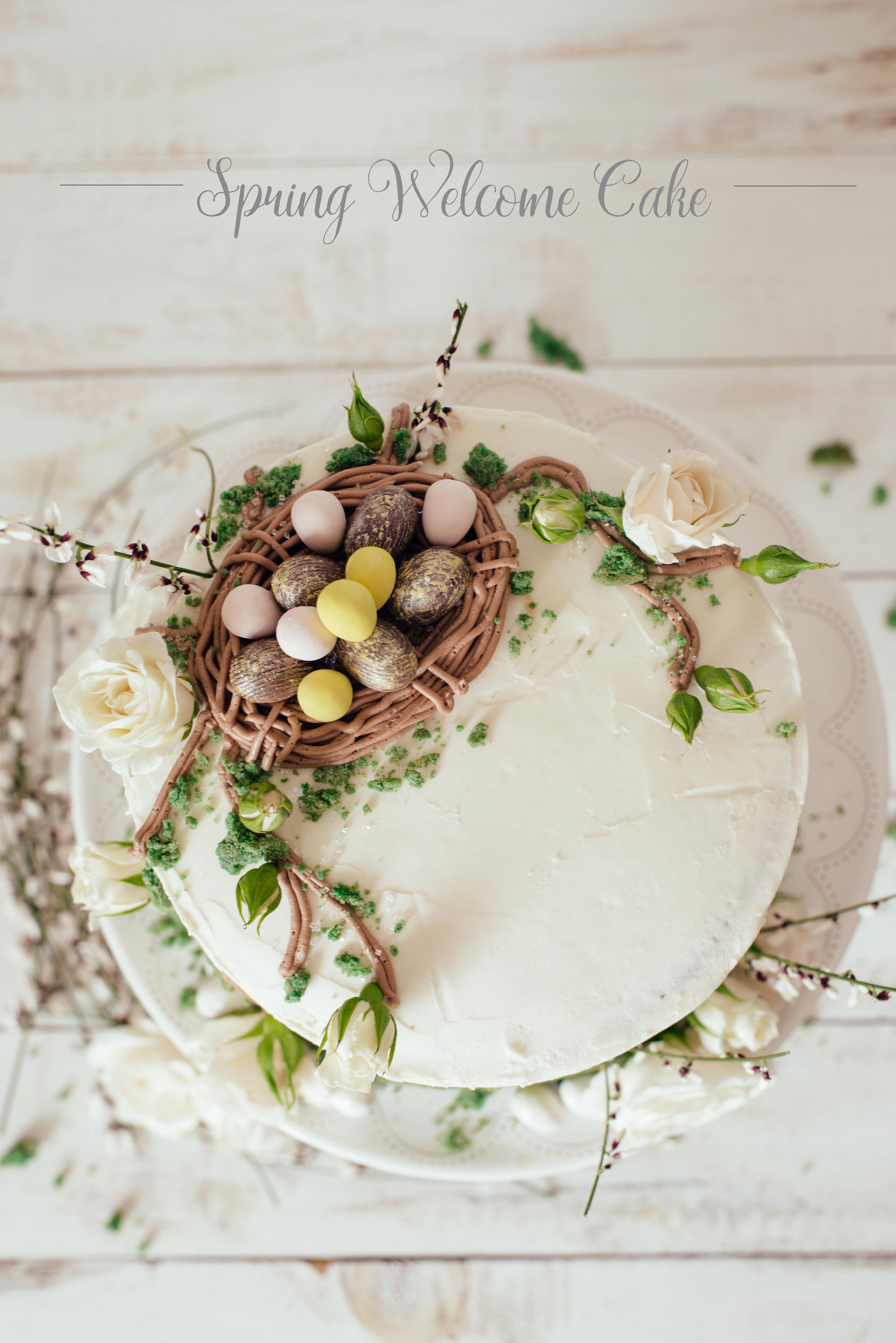 Easter Cake - Nest Cake - Spring Cake