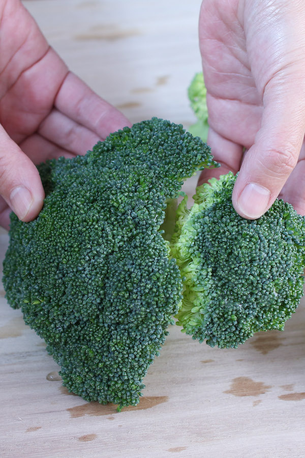 Use your hands to break the raw head of the broccoli into large flowers to prepare to boil the broccoli