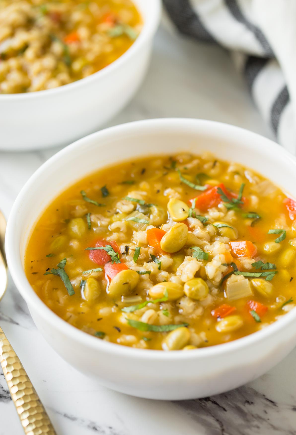 This Instant Vegetable Barley Soup is a quick and easy recipe for a healthy and nutritious soup. Full of flavors and takes about 30-40 minutes to prepare. And a perfect vegetable soup for weeknight dinners. | # watchwhatueat # barley #barleysoup #vegan #instantpotsoup