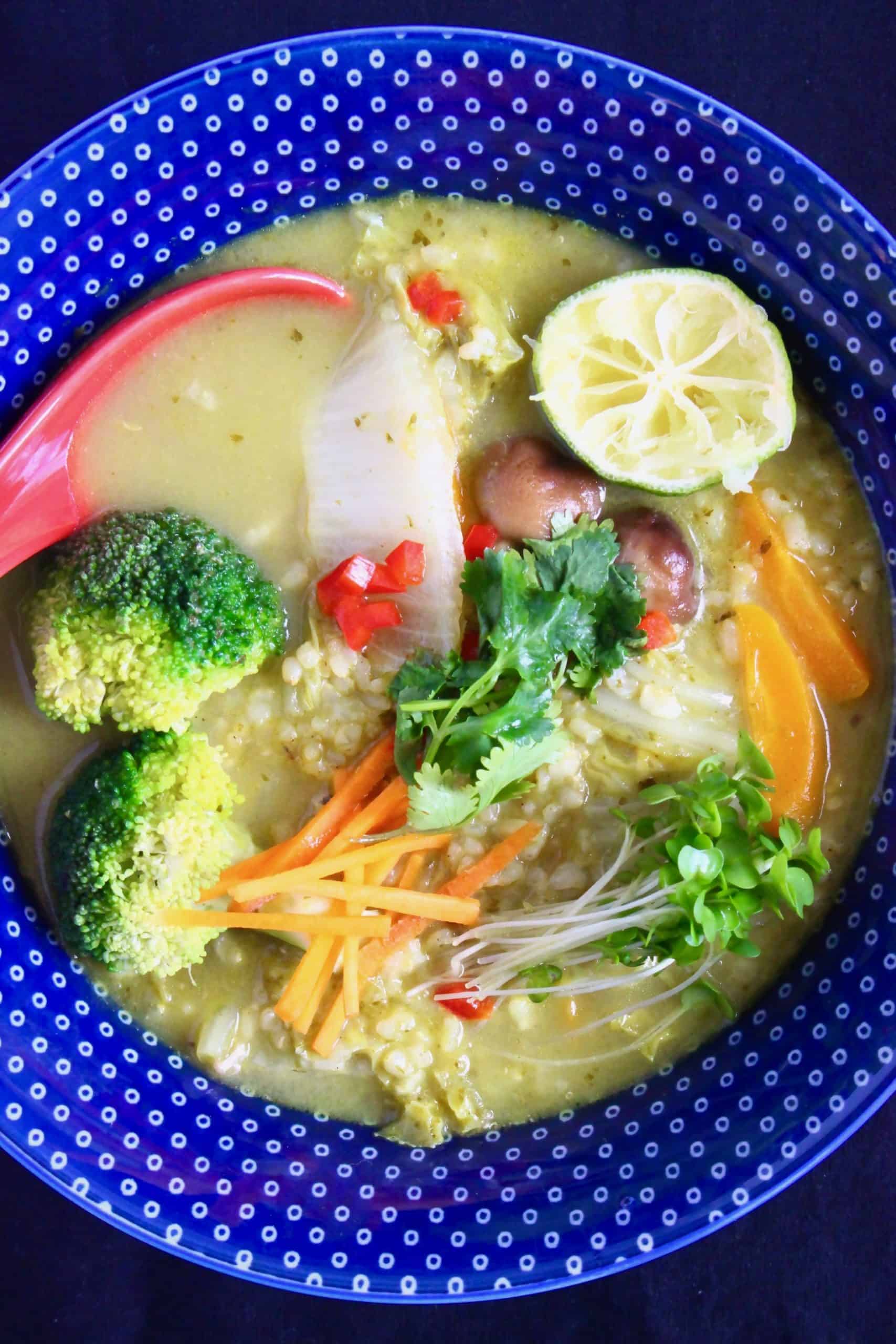 Vegetarian Tofu Sauce in the Pan