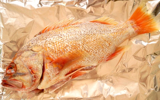 vermilion rockfish's orange tail