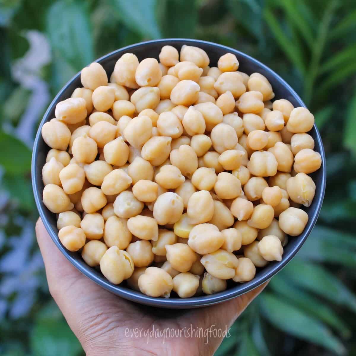 Chickpeas in an instant bowl