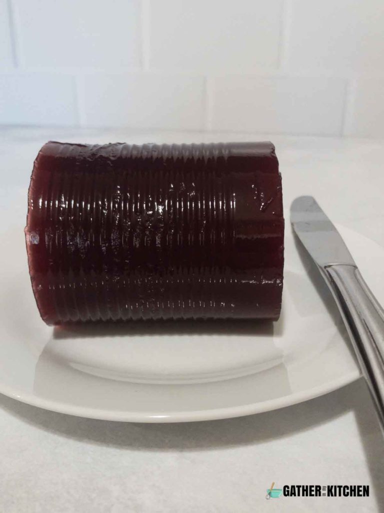 Canned cranberry sauce on it