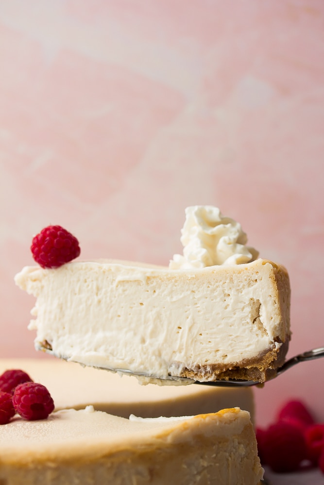 slice of cheesecake, pink background, on serving spoon