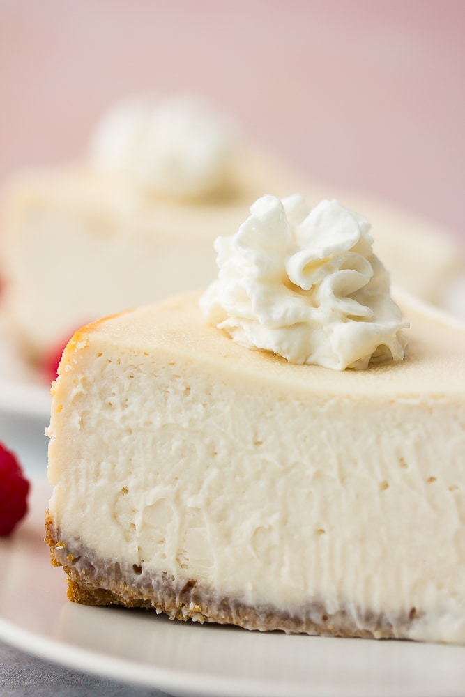 Close-up of cheesecake with whipped cream