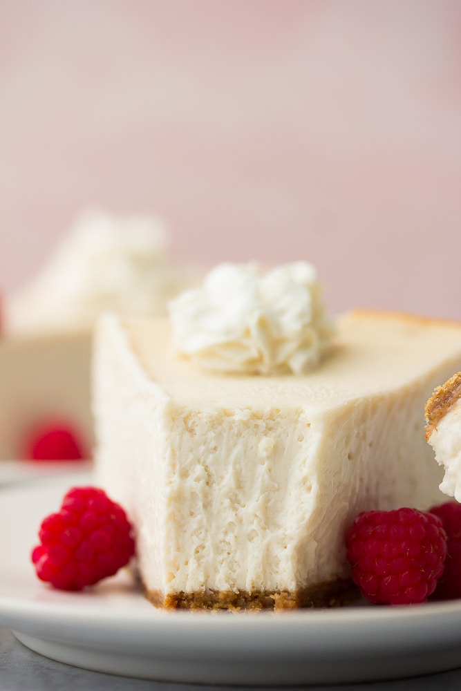 Close-up of the cheesecake being bitten