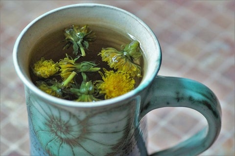 How to Make Dandelion Tea the Perfect Way Every Time!!