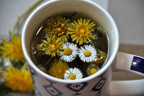 How to Make Dandelion Tea the Perfect Way Every Time!!