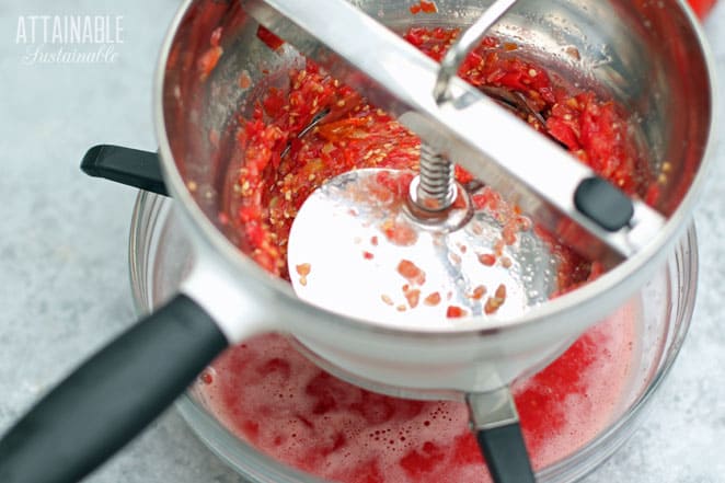 Food blender with seeds and tomato skins