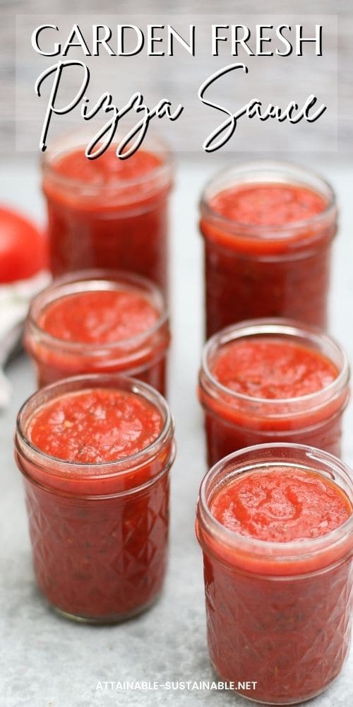 6 jars of pizza sauce without lids