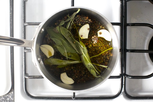 cook lentils with sage, garlic