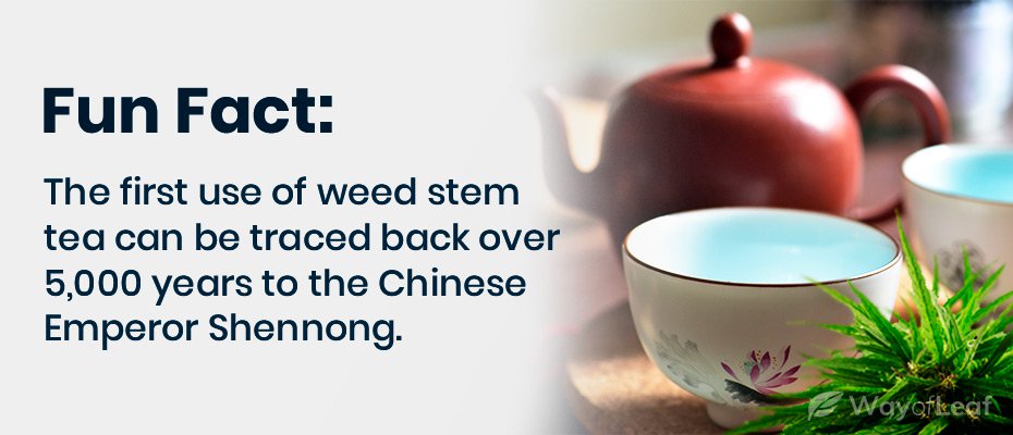grass-stem tea