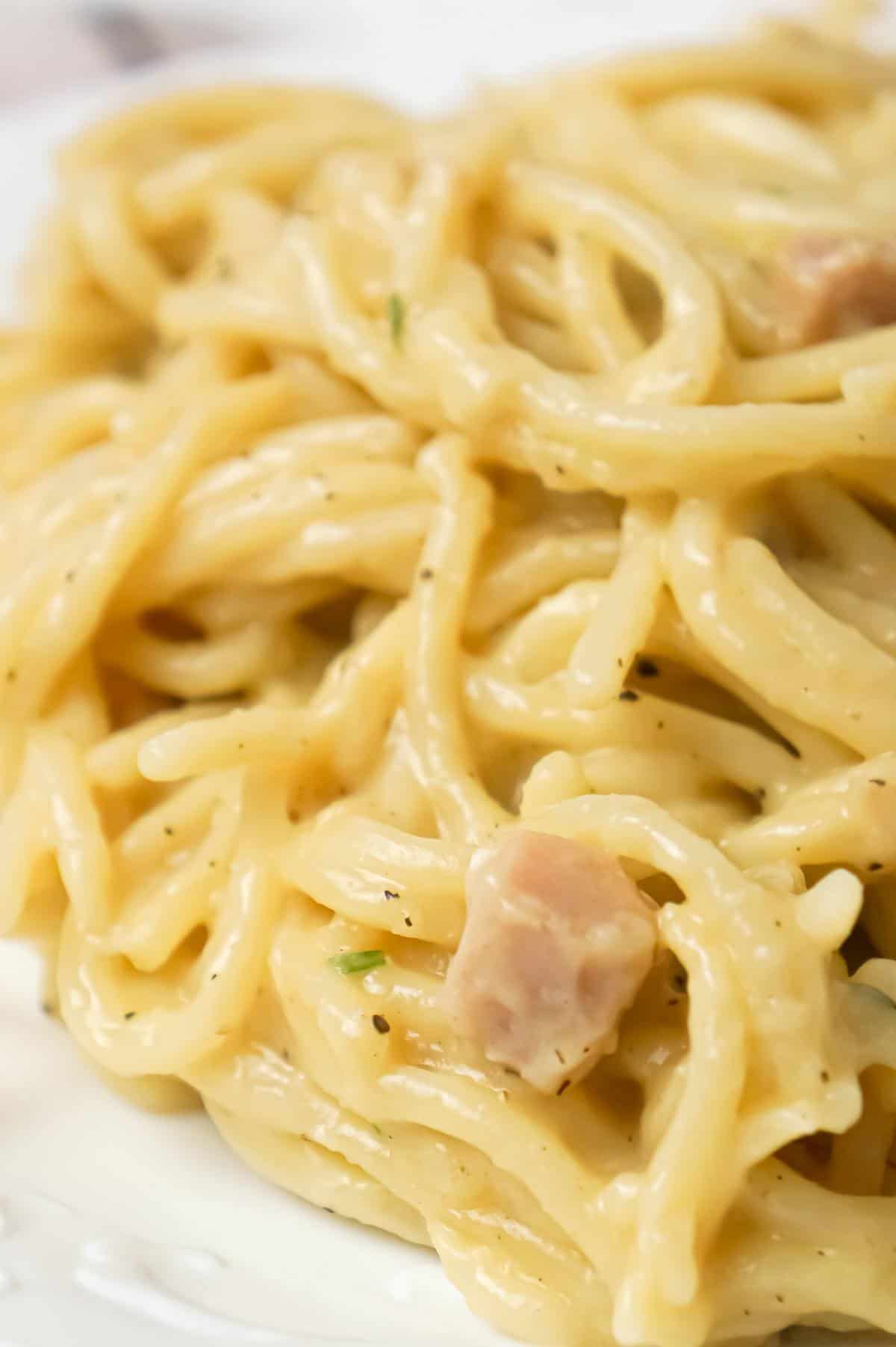 One Pot Chicken Spaghetti is a simple dinner recipe using only spaghetti, thick cream of chicken soup, and seasonings.