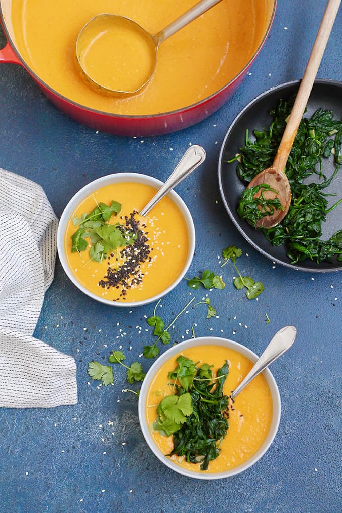 Instant carrot soup
