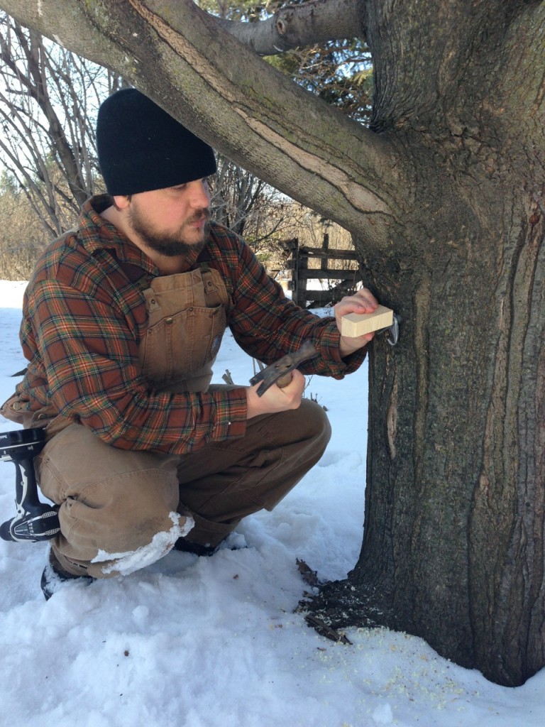 Skimming foam off of boiling maple sap: Small Batch Maple Syrup-Making: You Only Need 1 Tree! How to make maple syrup at home without sugar maples. Whole-Fed Homestead