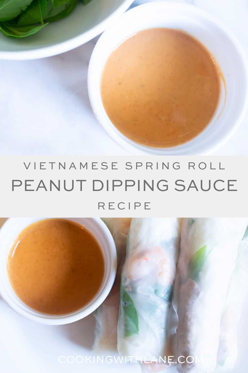 Vietnamese dipping sauce - light brown