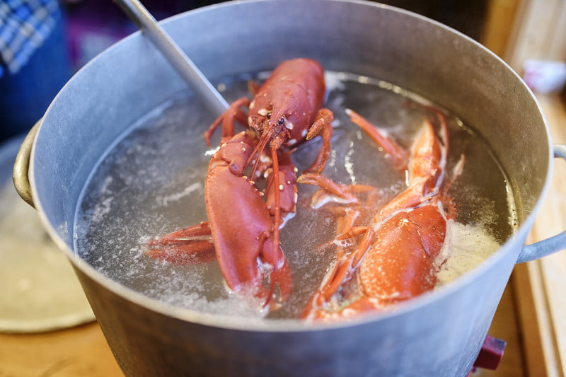 how to cook boiled lobster