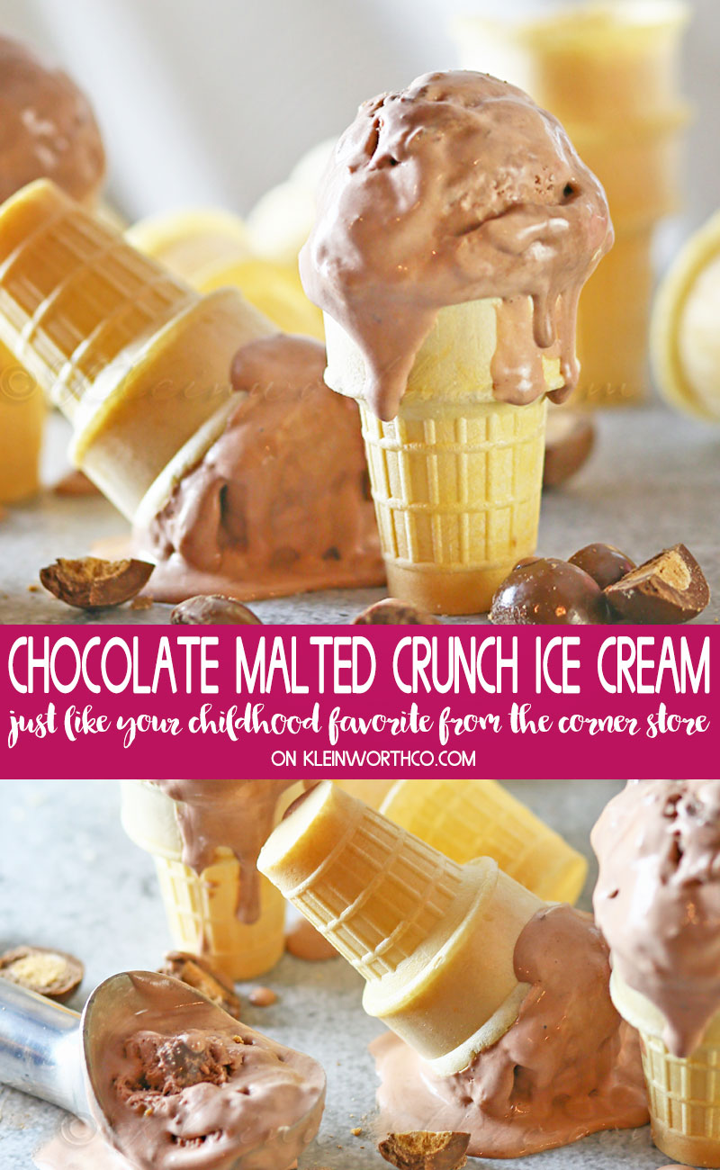 Malted Crunch Chocolate Ice Cream