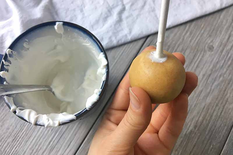 Horizontal image of a hand holding a vanilla ball with a stick inserted in it.