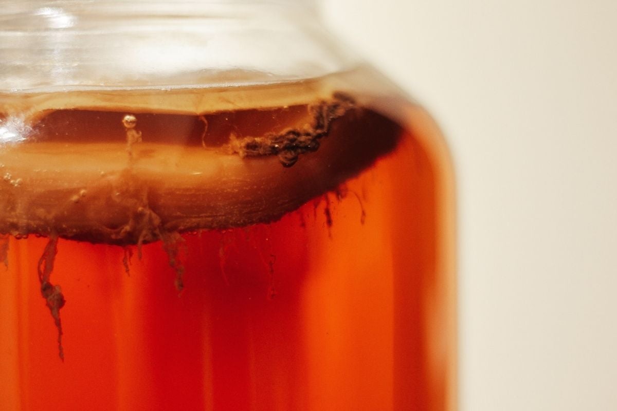 kombucha with scoby in jar