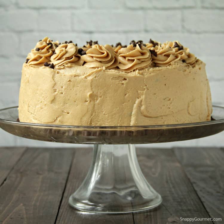 Chocolate Peanut Butter Cake on stand