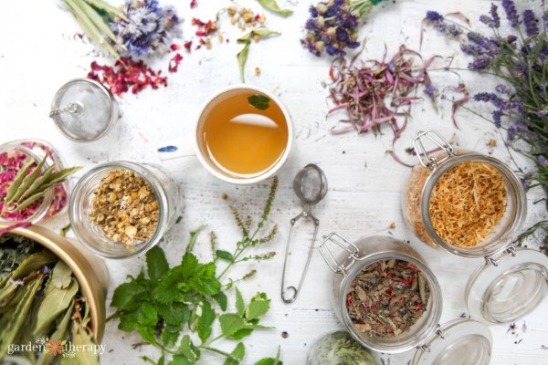 a cup of tea on a table full of fresh and dried flowers and herbs
