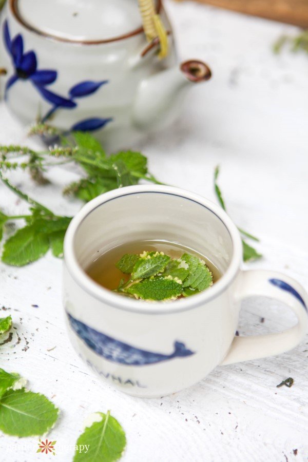 fresh herbal tea cup