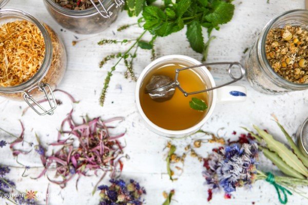 Make herbal tea into a cup