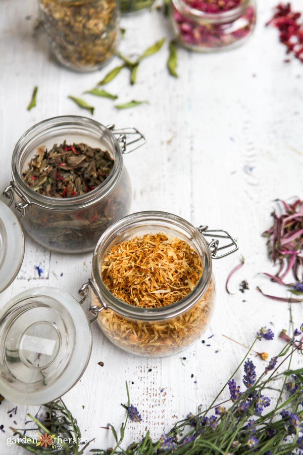 Dried herbs and camellia in a glass jar