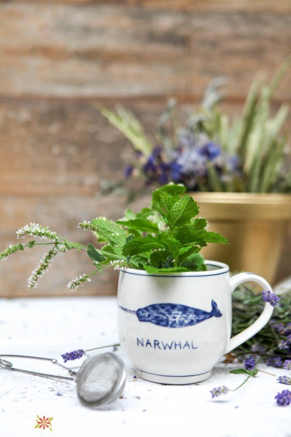 cup with fresh herbs to make tea