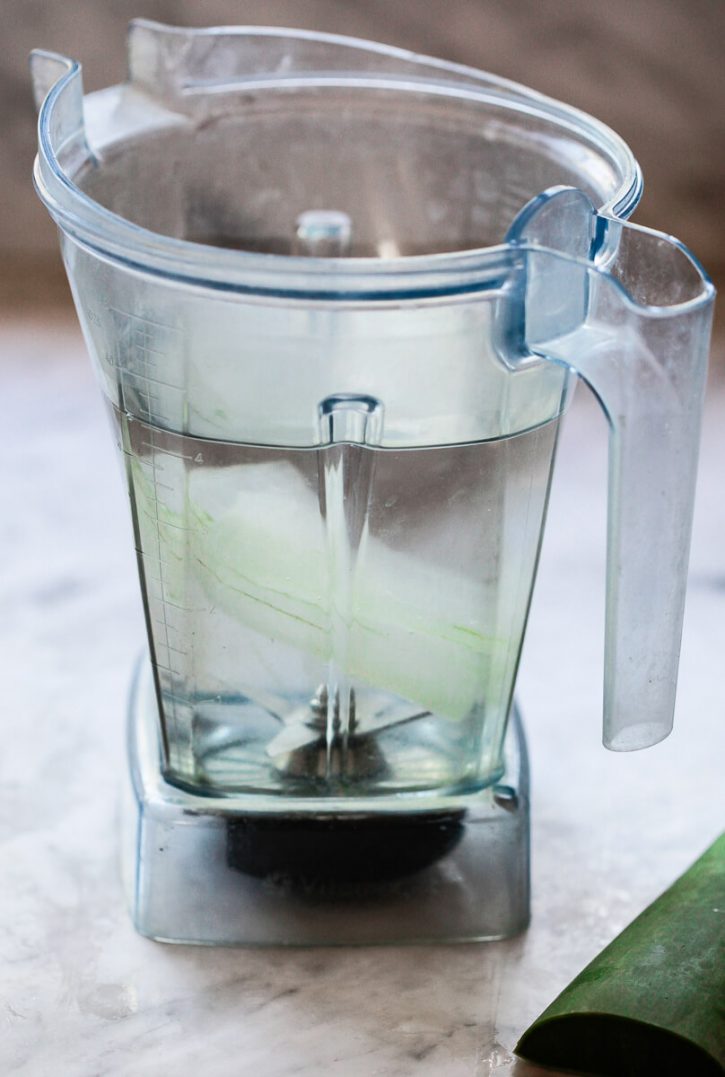 Put a piece of aloe vera and water into the Vitamix blender to make aloe vera juice.