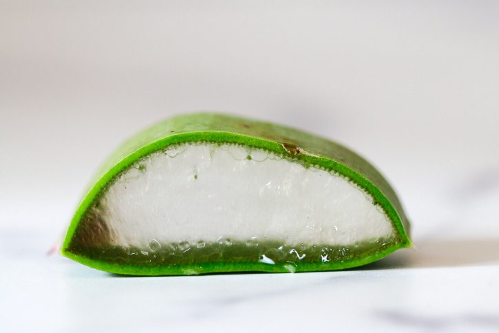 A close-up photo of a slice of aloe vera leaf showing the outer skin, the inner gel layer, and the latex in the middle.